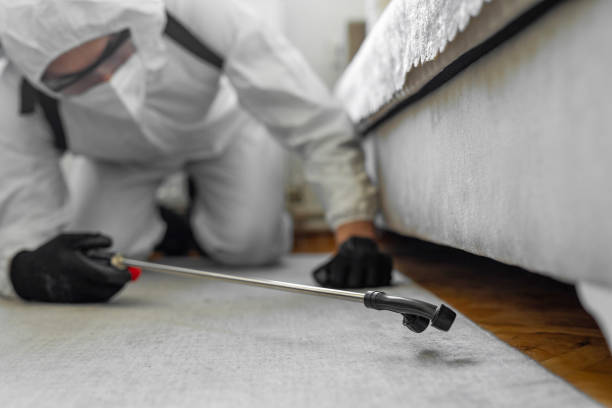 Professional Bed Bug Control technician working in Viroqua, WI